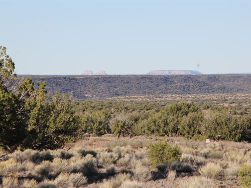 Seller Financing : Saint Johns : Apache County : Arizona