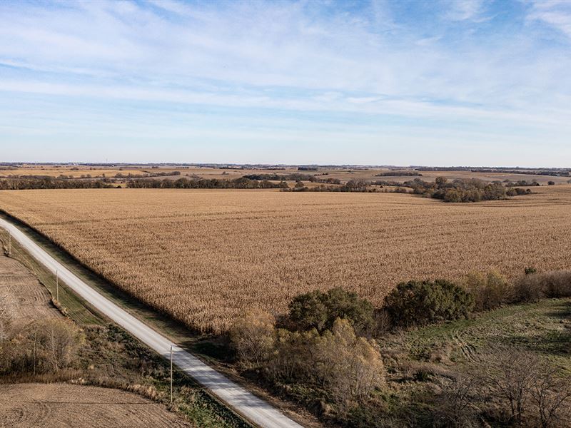 Land Auction, Cass Co, NE : Eagle : Cass County : Nebraska