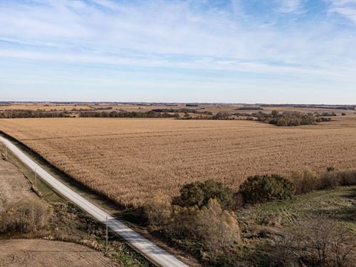 Land Auction, Cass Co, NE : Eagle : Cass County : Nebraska