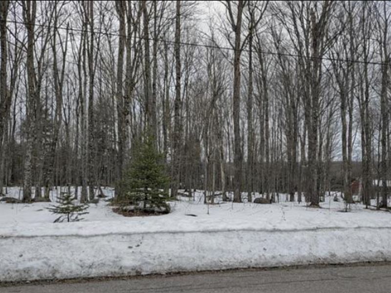 Waterfront Acreage in Iron County : Iron River : Iron County : Michigan