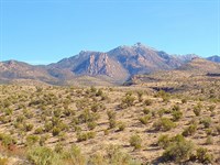 Dream Home Lot, Power : Kingman : Mohave County : Arizona
