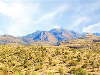 Premium Ranch in Kingman : Kingman : Mohave County : Arizona