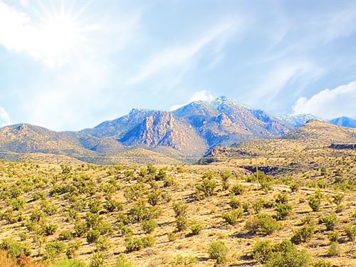 Premium Ranch in Kingman : Kingman : Mohave County : Arizona