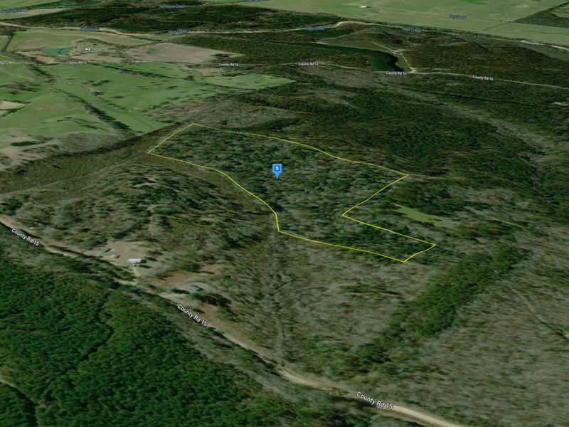 30 Acres in Carroll County MS : Winona : Carroll County : Mississippi