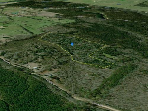 30 Acres in Carroll County MS : Winona : Carroll County : Mississippi