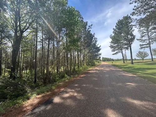 44 Acres, Lawrence County, MS : Sontag : Lawrence County : Mississippi