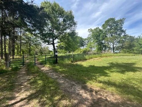 19 Acres, Lawrence County, MS : Sontag : Lawrence County : Mississippi