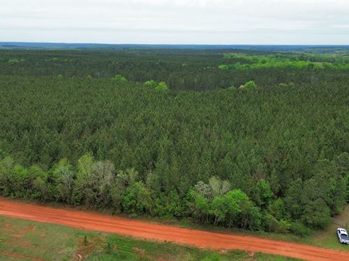 77 Acres Randolph County, GA : Cuthbert : Randolph County : Georgia
