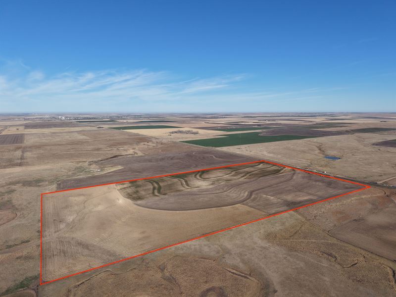 Ness County 75 : Ness City : Ness County : Kansas