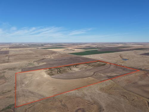 Ness County 75 : Ness City : Ness County : Kansas