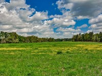 South River Farm & Recreation : Covington : Newton County : Georgia