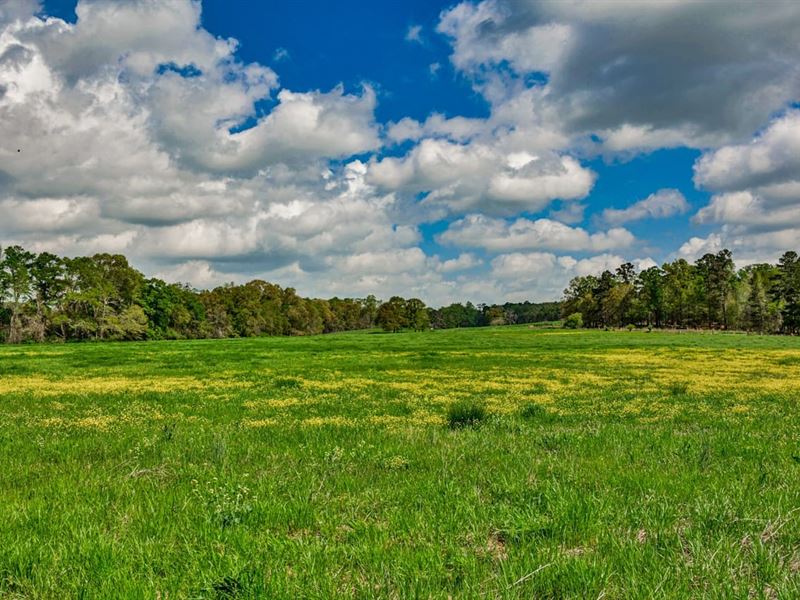 South River Farm & Recreation : Covington : Newton County : Georgia