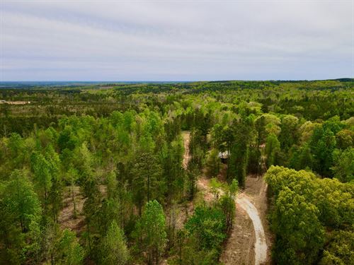 Big Springs Farm, 241 Acres : Woodland : Randolph County : Alabama