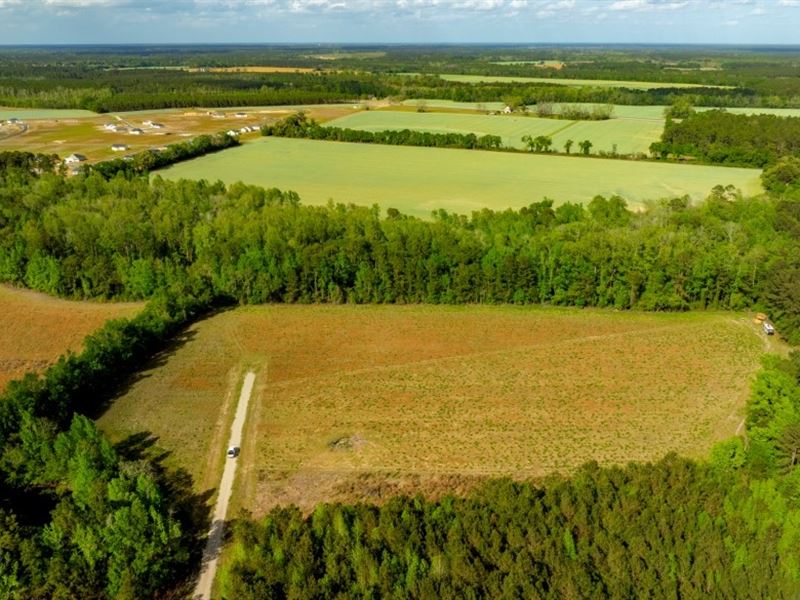 Siesta Lane Lot 3 : Statesboro : Bulloch County : Georgia