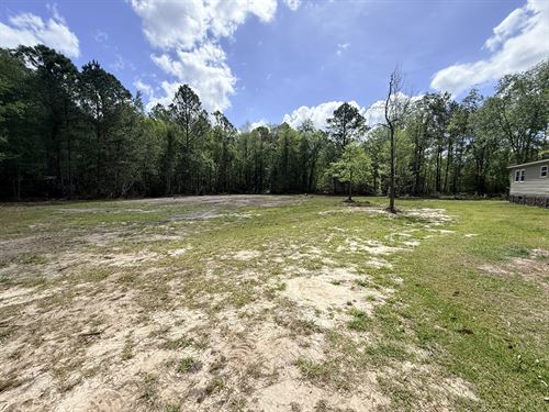 Ellabell Homestead : Ellabell : Bulloch County : Georgia