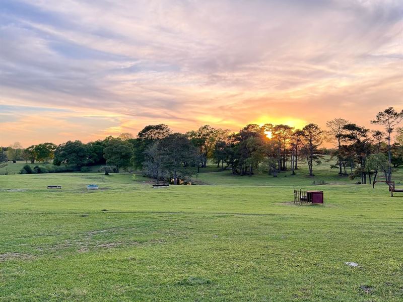 195 Ac Maddox Farm : Red Level : Covington County : Alabama