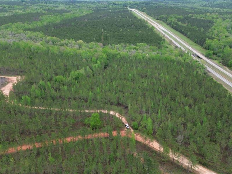 73 Acres Cuthbert, GA : Cuthbert : Randolph County : Georgia