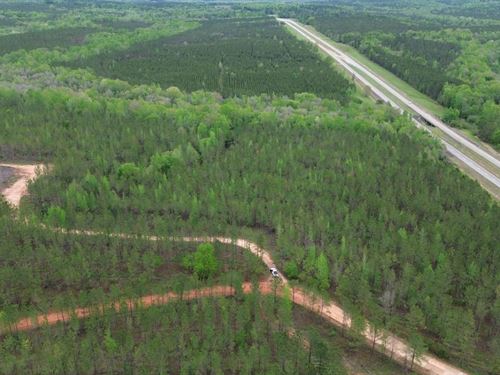 73 Acres Cuthbert, GA : Cuthbert : Randolph County : Georgia