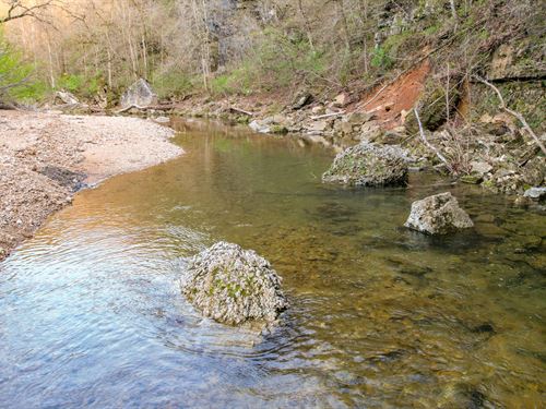 Rebel Hollow : Willow Springs : Texas County : Missouri