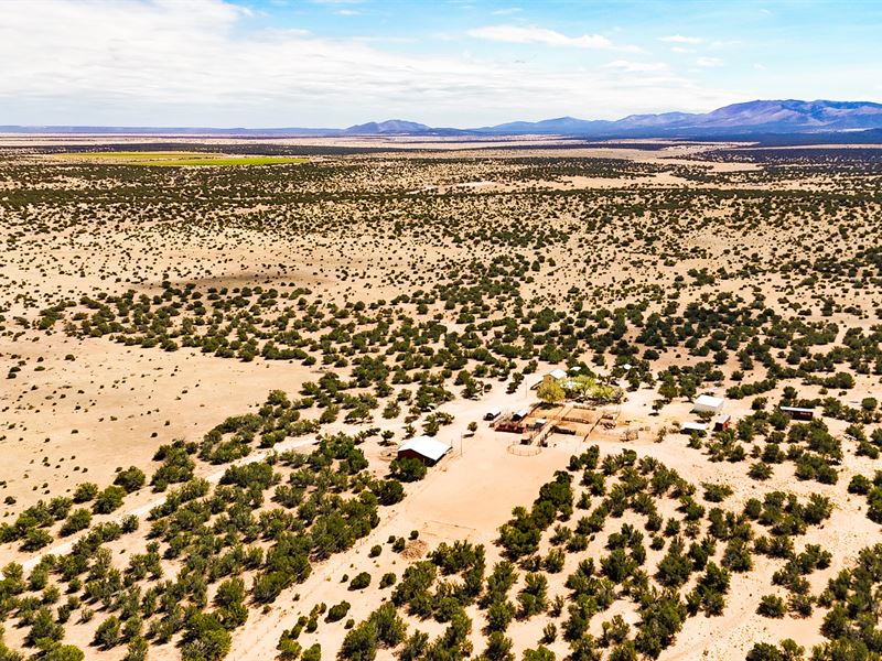 The Muncy Ranch : Cedarvale : Torrance County : New Mexico