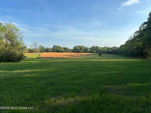 77 Acres in Edwards, MS Hinds Count : Edwards : Hinds County : Mississippi