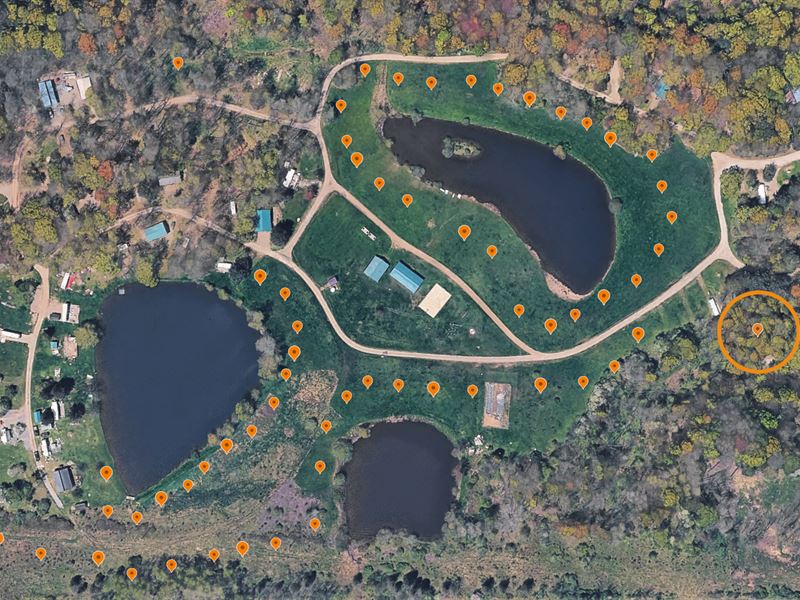 Dollar Auction, 63 Residential Lot : Holland : Erie County : New York