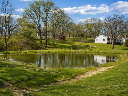 Southern MO Farm for Sale : Mountain Grove : Wright County : Missouri