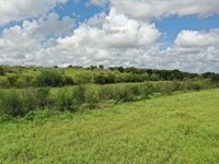 10.01 Acres in San Marcos, TX : San Marcos : Guadalupe County : Texas
