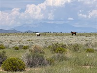 Tiny Homes, Mobile Homes, & Camping : San Luis : Costilla County : Colorado
