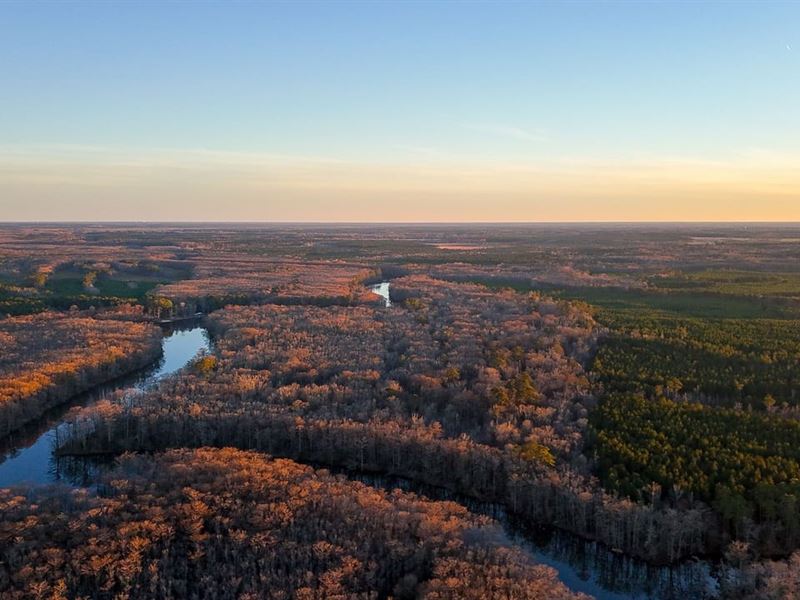 Blackwater Timberlands Bid Sale : Southampton : Sussex County : Virginia