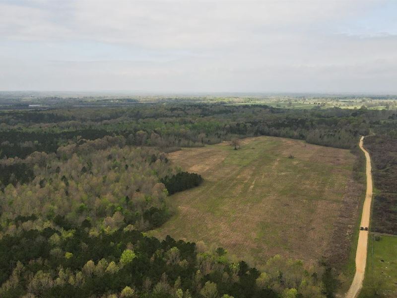 76 Acres in Hempstead County, AR : Ozan : Hempstead County : Arkansas