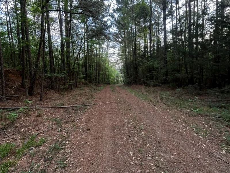 7 Acres in Union Parish, LA : Farmerville : Union Parish : Louisiana