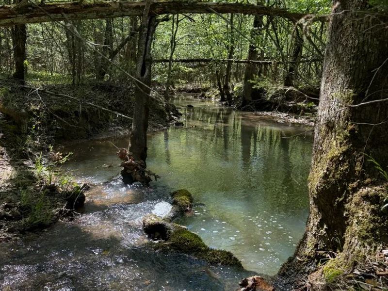 26.58 Acres in Sevier County, AR : De Queen : Sevier County : Arkansas