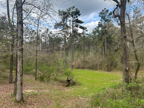74 Acres With a Camp in Holmes Coun : West : Holmes County : Mississippi