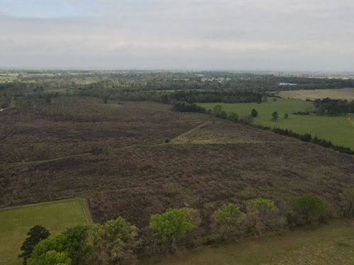 78 Acres in Hempstead County, AR : Ozan : Hempstead County : Arkansas