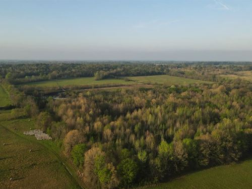 127 Acres With a Cabin in Hempstead : Ozan : Hempstead County : Arkansas