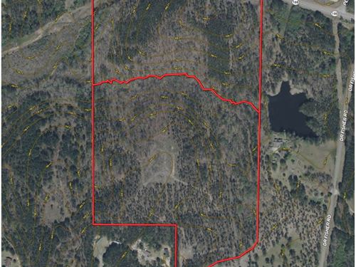 69 Acres Franklin, GA : Franklin : Heard County : Georgia