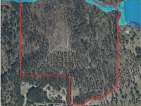 39 Acres Franklin, GA : Franklin : Heard County : Georgia