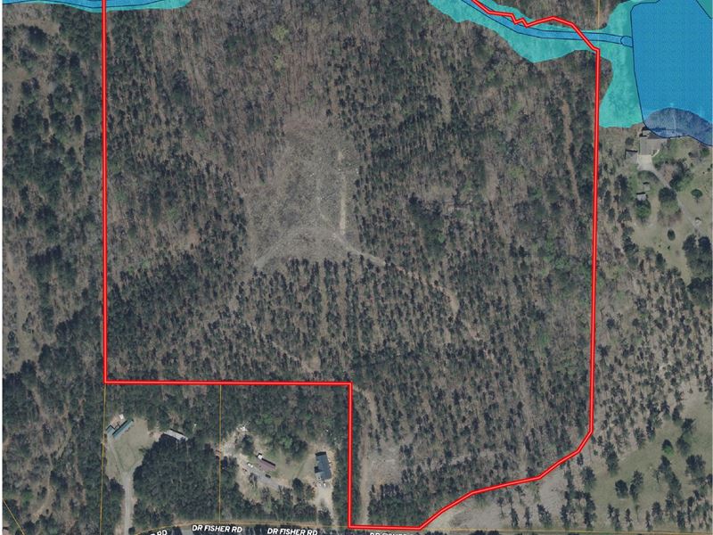 39 Acres Franklin, GA : Franklin : Heard County : Georgia