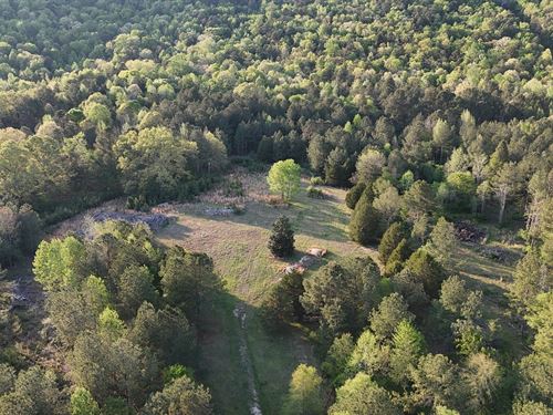 Owls Hollow Haven, 78 Acres : Gadsden : Etowah County : Alabama