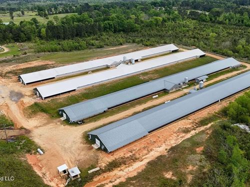 Collins, MS Poultry Pullet Farm : Collins : Covington County : Mississippi