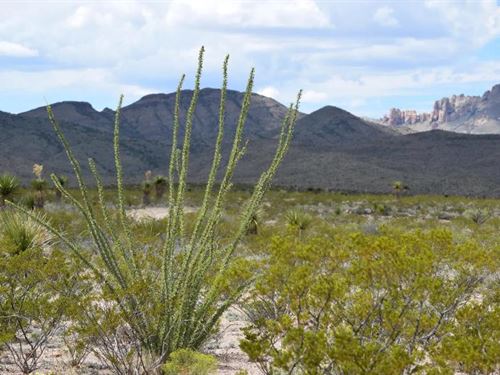 Exceptional 20-Acre Property : Van Horn : Hudspeth County : Texas