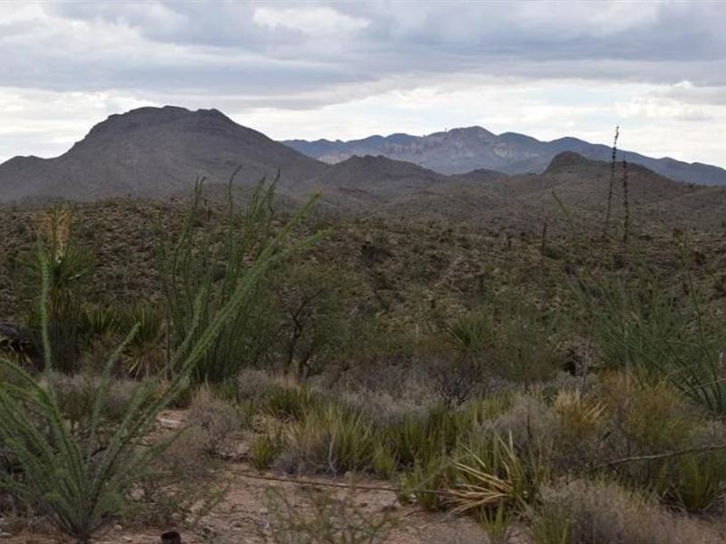 Incredible 10-Acre Property : Van Horn : Hudspeth County : Texas