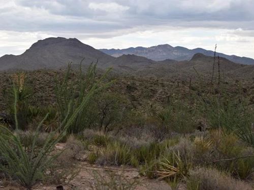Incredible 10-Acre Property : Van Horn : Hudspeth County : Texas