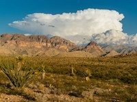 Premier 20-Acre Property, Mountains : Van Horn : Hudspeth County : Texas