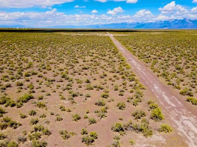 6.8 Acres Ready to Build Land : Alamosa : Alamosa County : Colorado