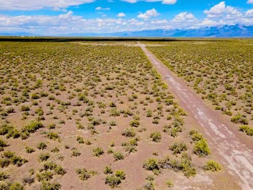 6.8 Acres Ready to Build Land : Alamosa : Colorado