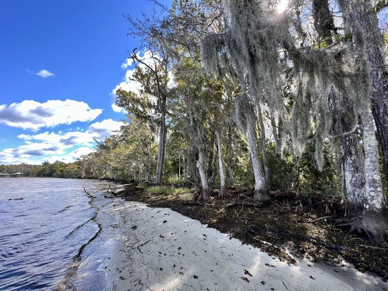 Mobile-Tensaw River Delta Bay : Spanish Fort : Baldwin County : Alabama