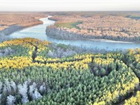 Morgan Bluff Hunting & Timber : Toxey : Choctaw County : Alabama