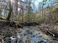 Copper Salt Creek Hunting & Timber : Toxey : Choctaw County : Alabama